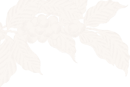 bg-pattern-2 bg-pattern-2