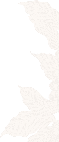 bg-pattern bg-pattern